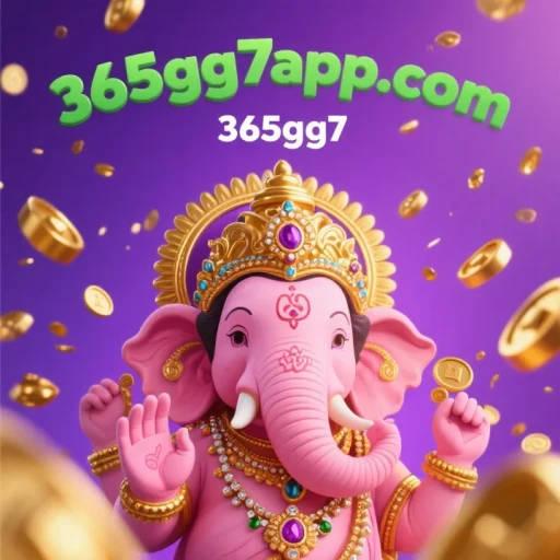 365gg7
